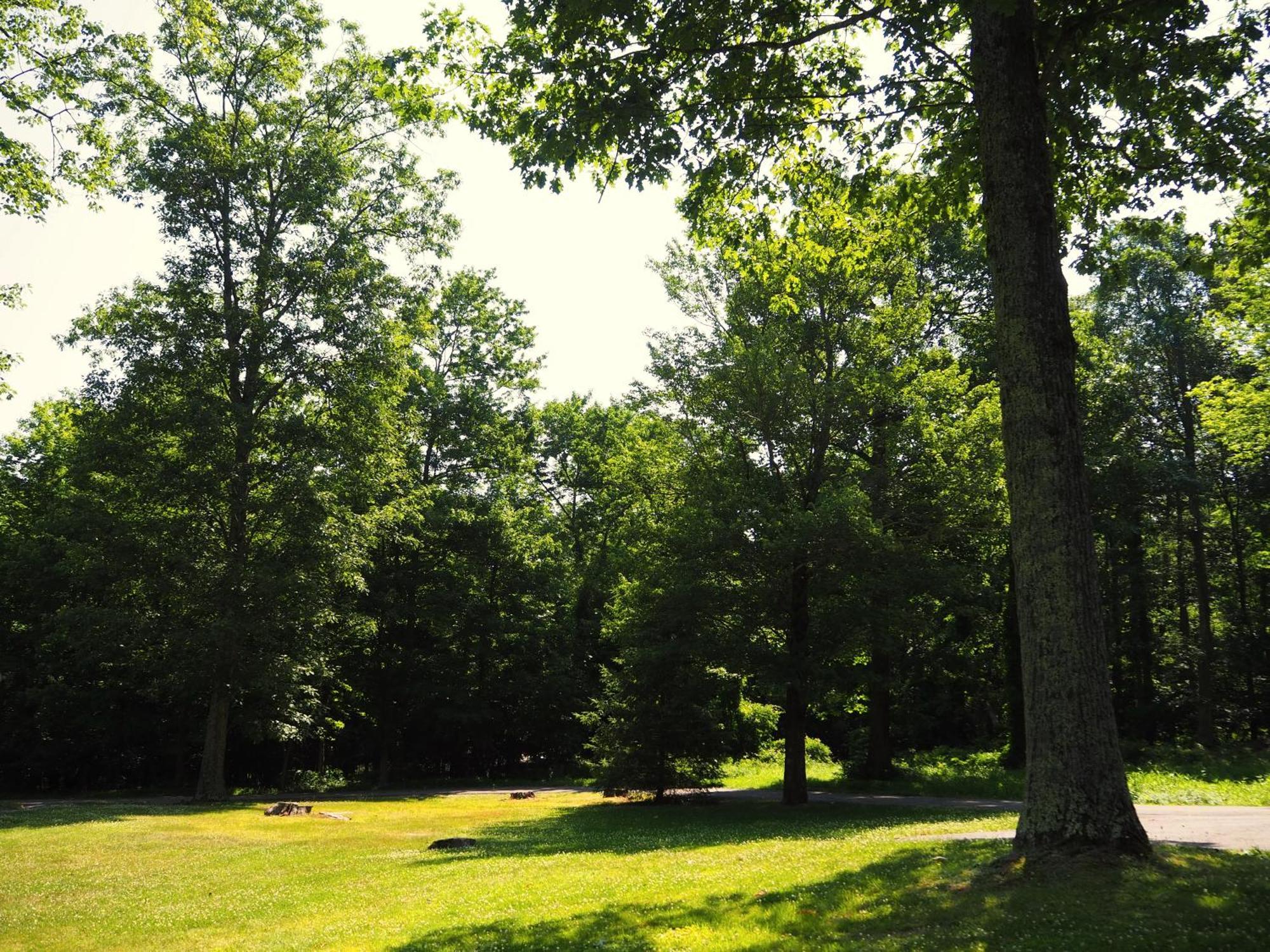 Woodfield Manor - A Sundance Vacations Property Cresco Eksteriør bilde
